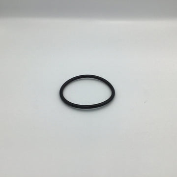 O RING - A099010
